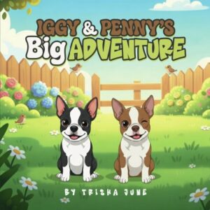 Iggy and Penny’s Big Adventure ( Paperback )